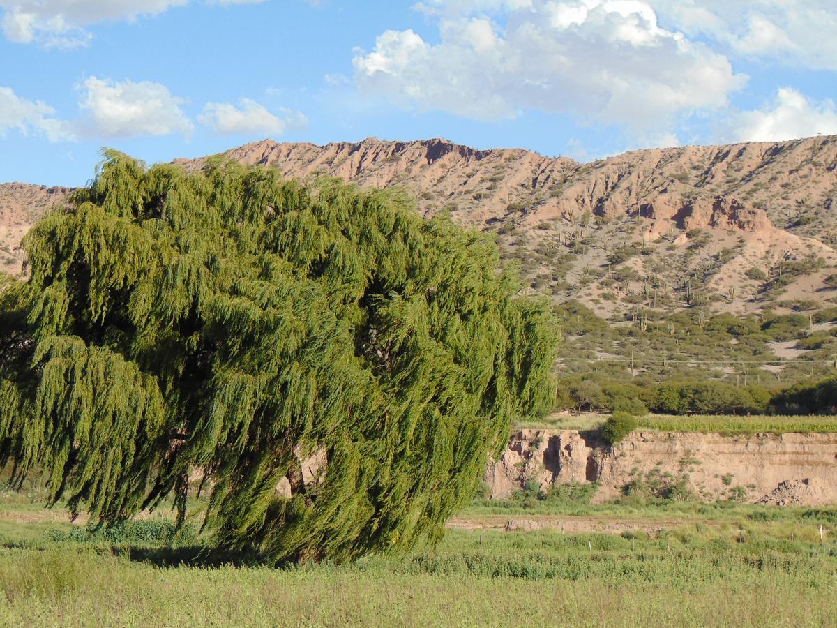 Villa El Churqui Humahuaca Exterior foto